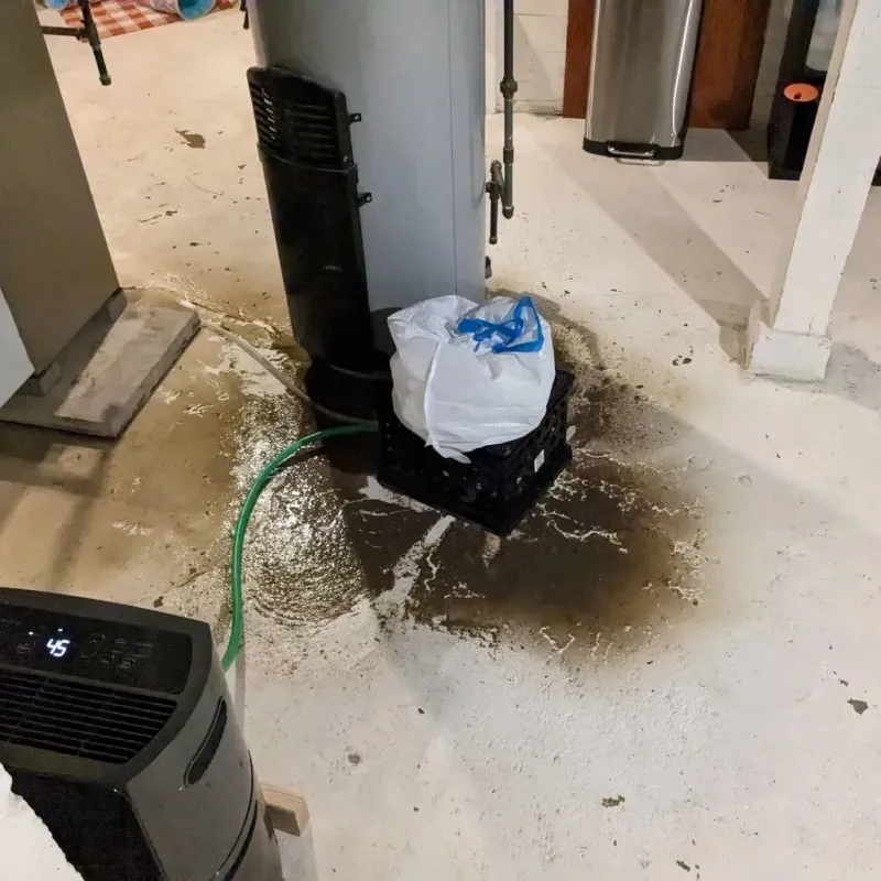 Sewage Backup Cleanup Service in Merced County, CA